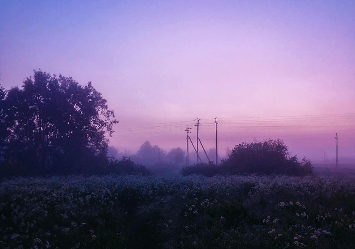 神马影视里这类表达怎么读：主题哪里是猜测哪里是结论，用做一张小卡片拆开